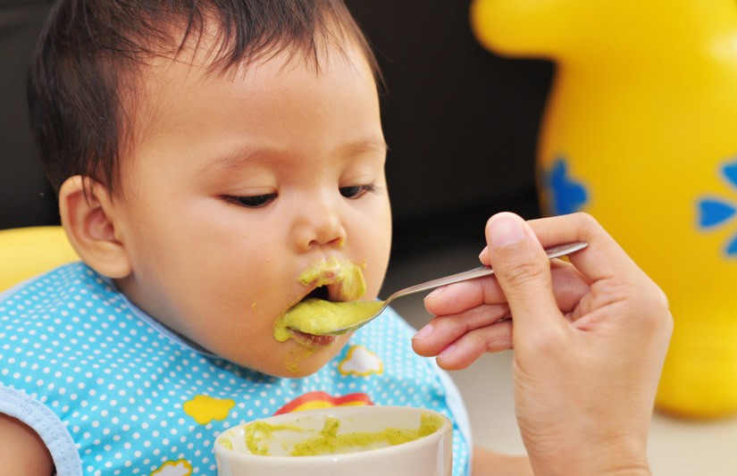 Baby Food To Maximize Your Child's Brain Development