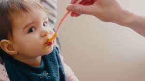 Own Baby Food